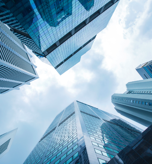 Business Litigation